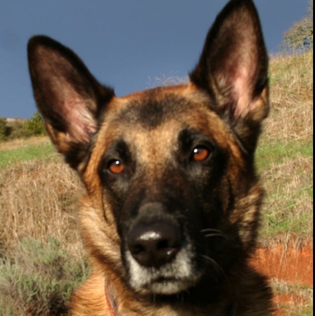 M A.'s profile image