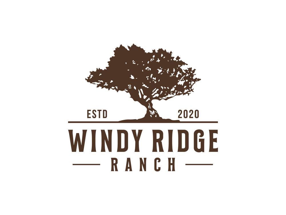 Cindy F.'s profile image