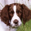 C C.'s profile image