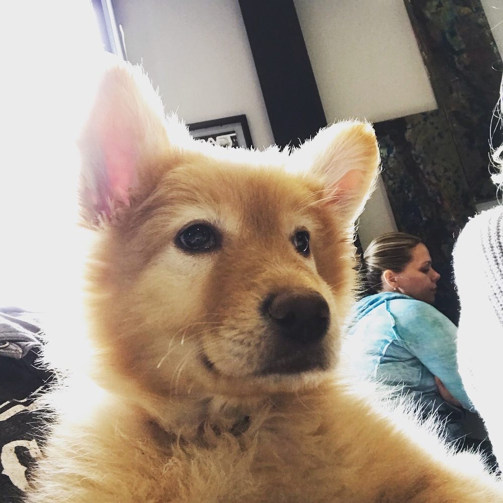 Allison T.'s profile image