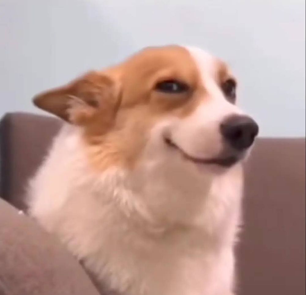 Chris E.'s profile image