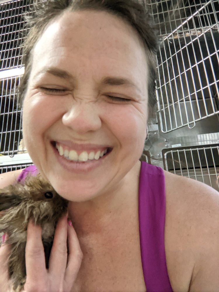 DeAnna P.'s profile image