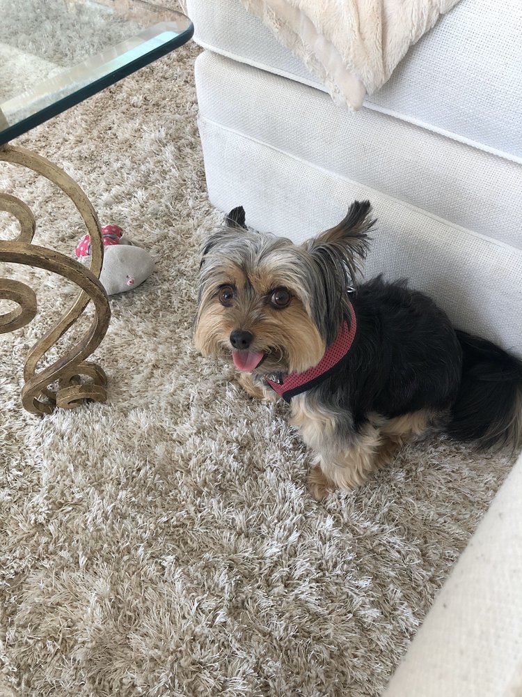 Stephen H.'s profile image