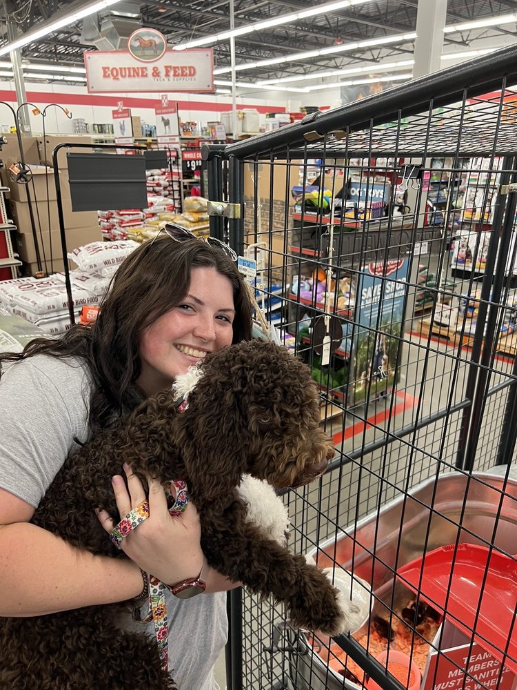 Lilly P.'s profile image