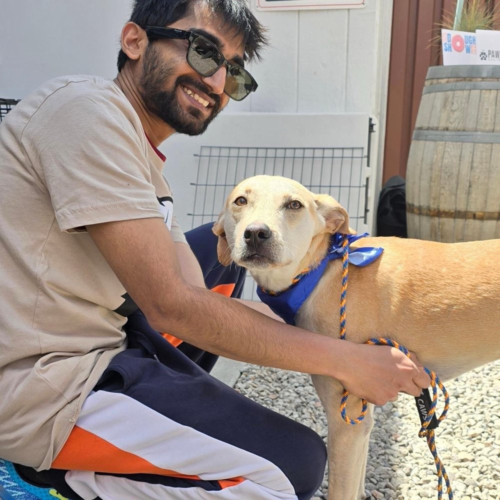 Karthik S.'s profile image