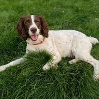 Lola H.'s profile image