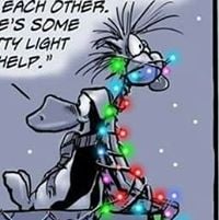 Jay N.'s profile image