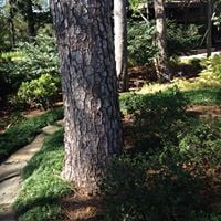 Shelley M.'s profile image