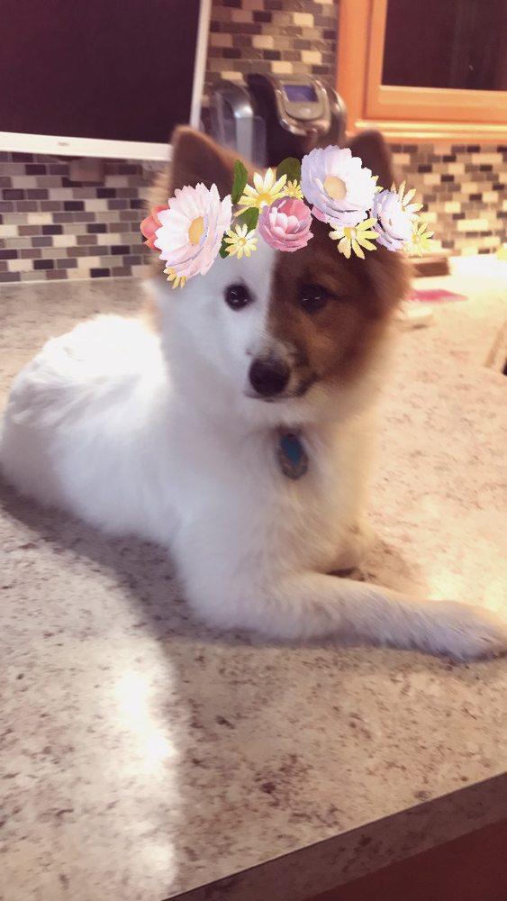 Amy G.'s profile image