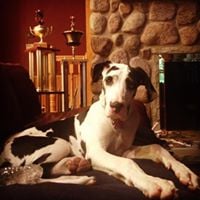 Sandy T.'s profile image