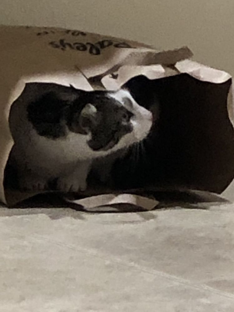 Aziz H.'s profile image