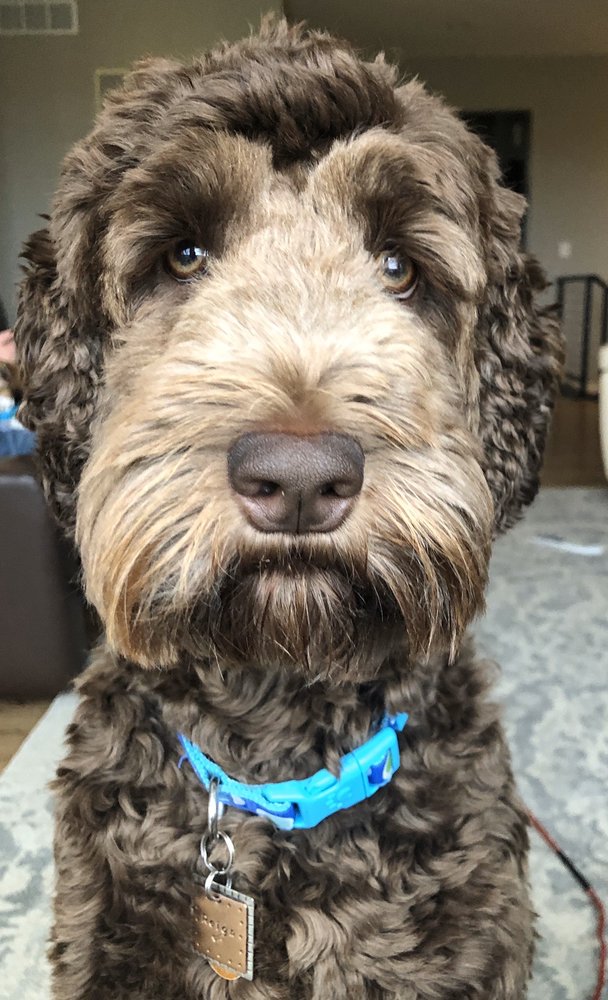 Mojo L.'s profile image