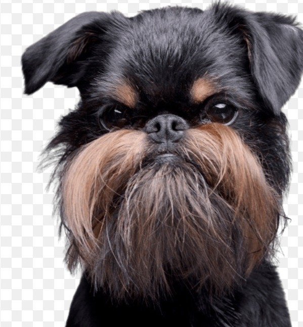 Richard F.'s profile image