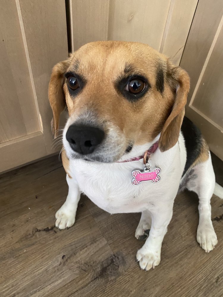 Samuel G.'s profile image