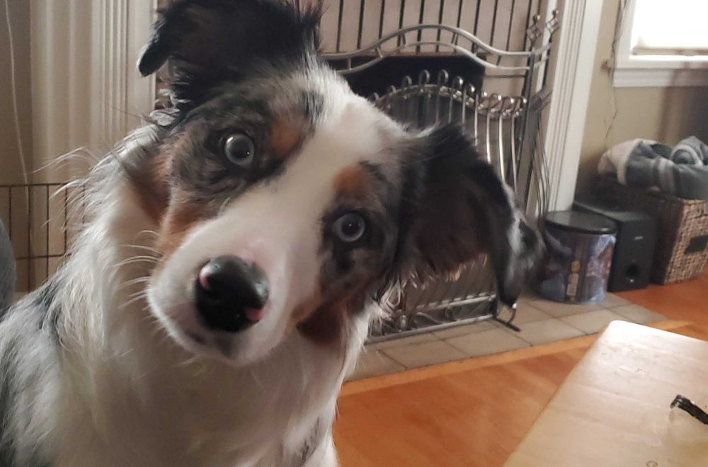 Ris S.'s profile image