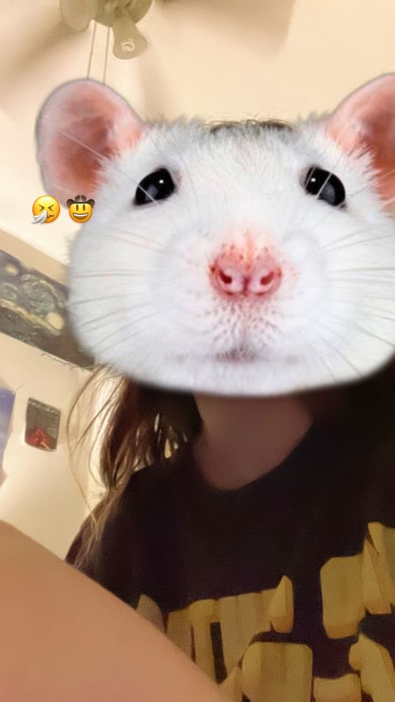 Sofi D.'s profile image