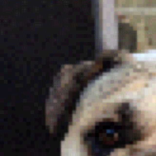 Jason C.'s profile image