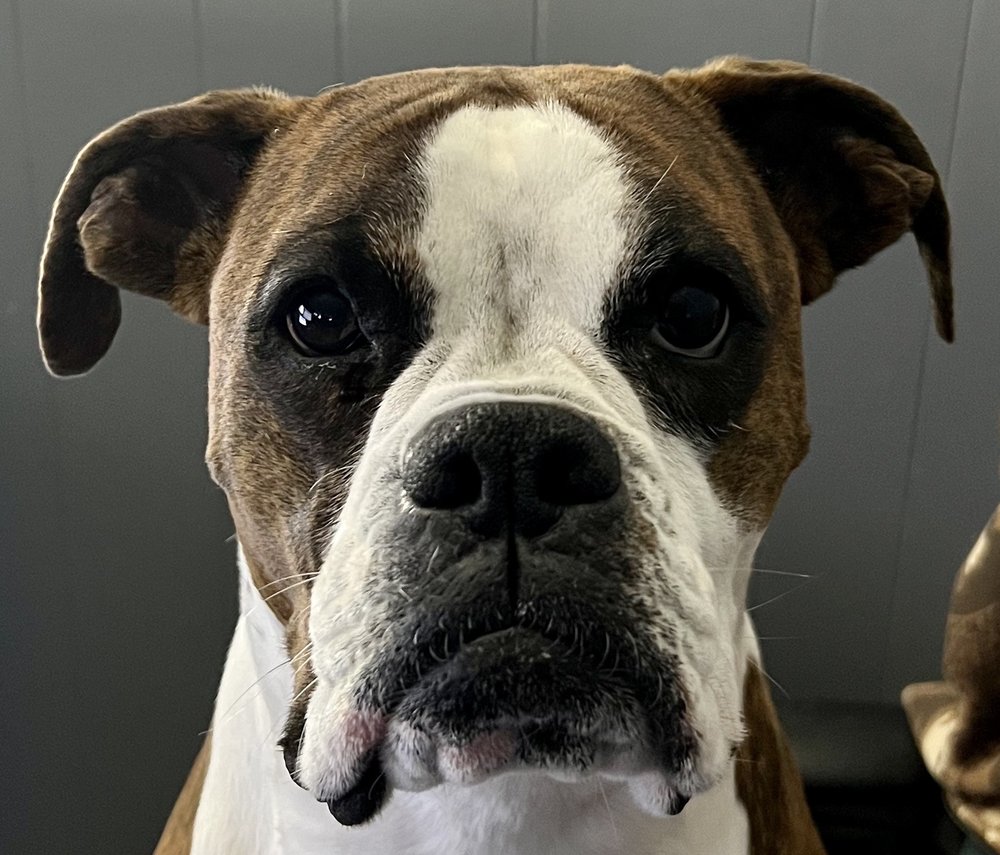 Ronald S.'s profile image