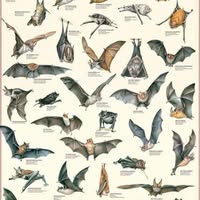 Teresa J McMullen's profile image