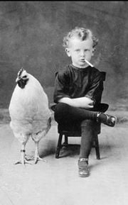 Daniel V.'s profile image