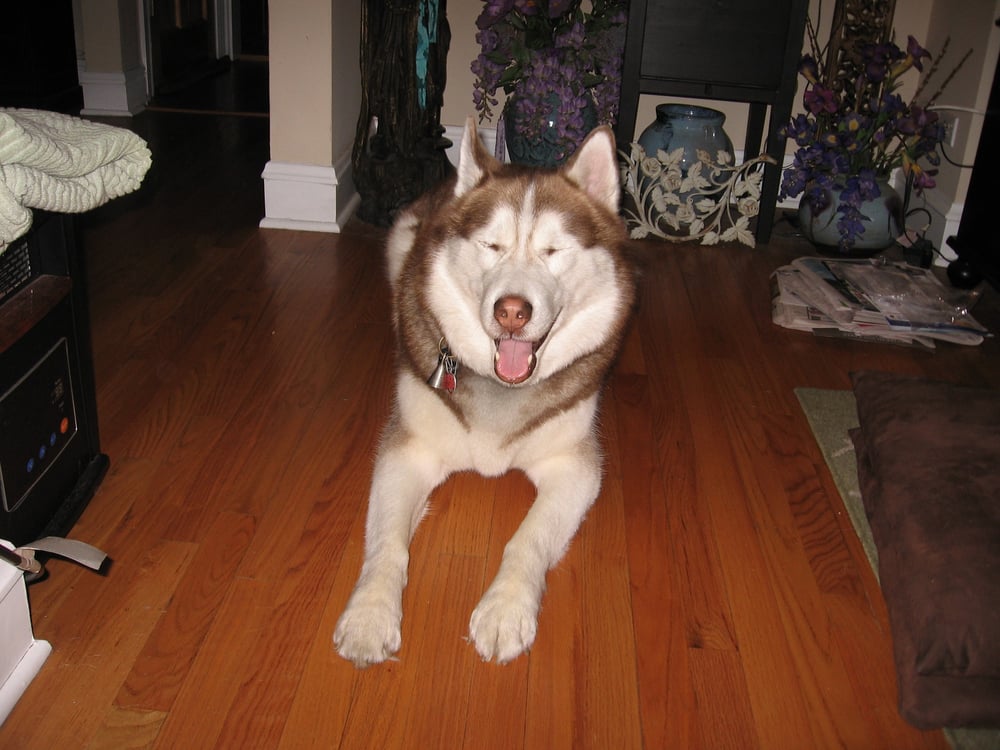 Denise K.'s profile image