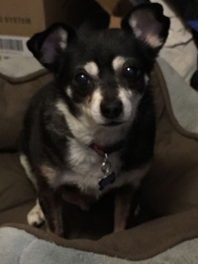 Mindy S.'s profile image