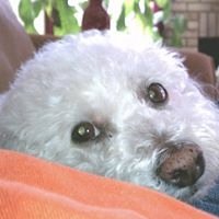 Audrey B.'s profile image