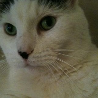 Amy K.'s profile image