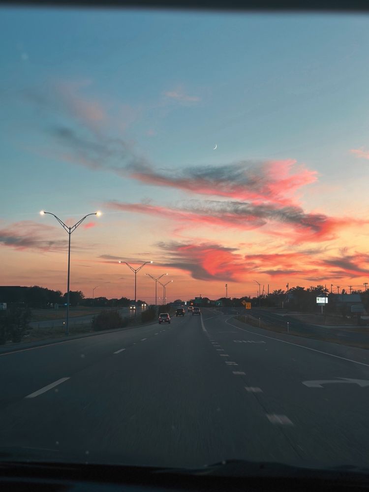 Lily P.'s profile image