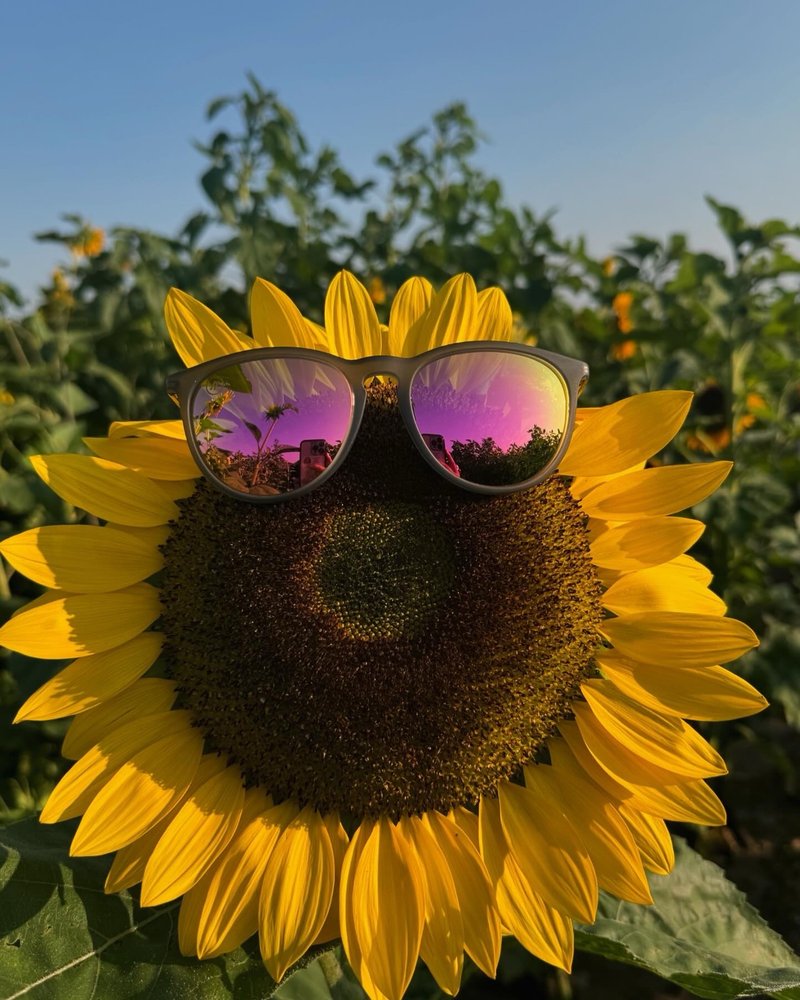 Raquel G.'s profile image
