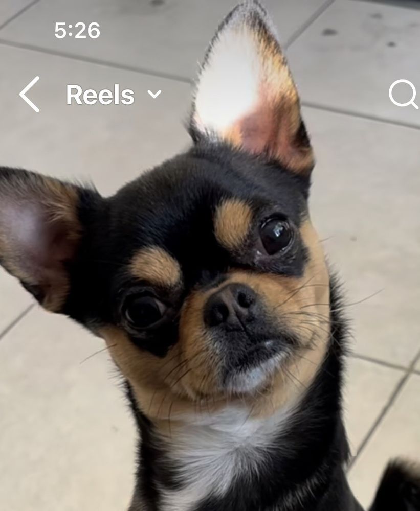Tim M.'s profile image