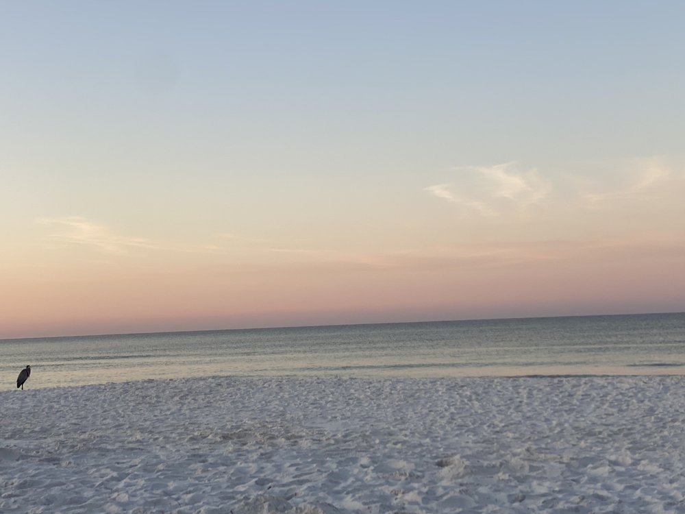 Joleen S.'s profile image