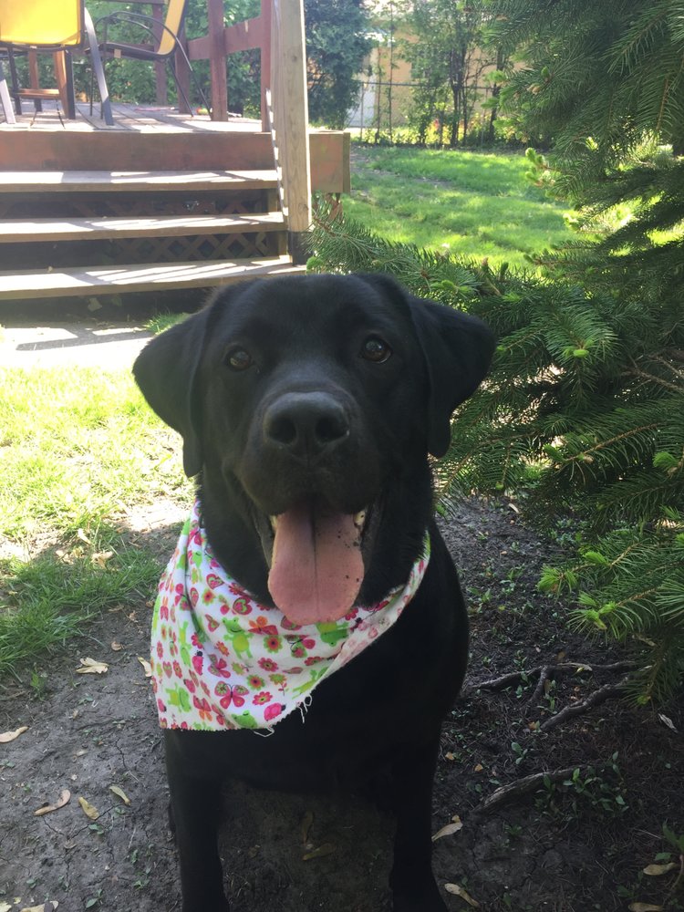 Amy S.'s profile image