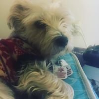 Mary T.'s profile image