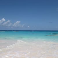 Laura Laura's profile image