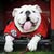 Susan Hatfield Y.'s profile image
