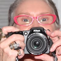 Rogene M. Waite's profile image