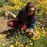 Carolyn Y.'s profile image