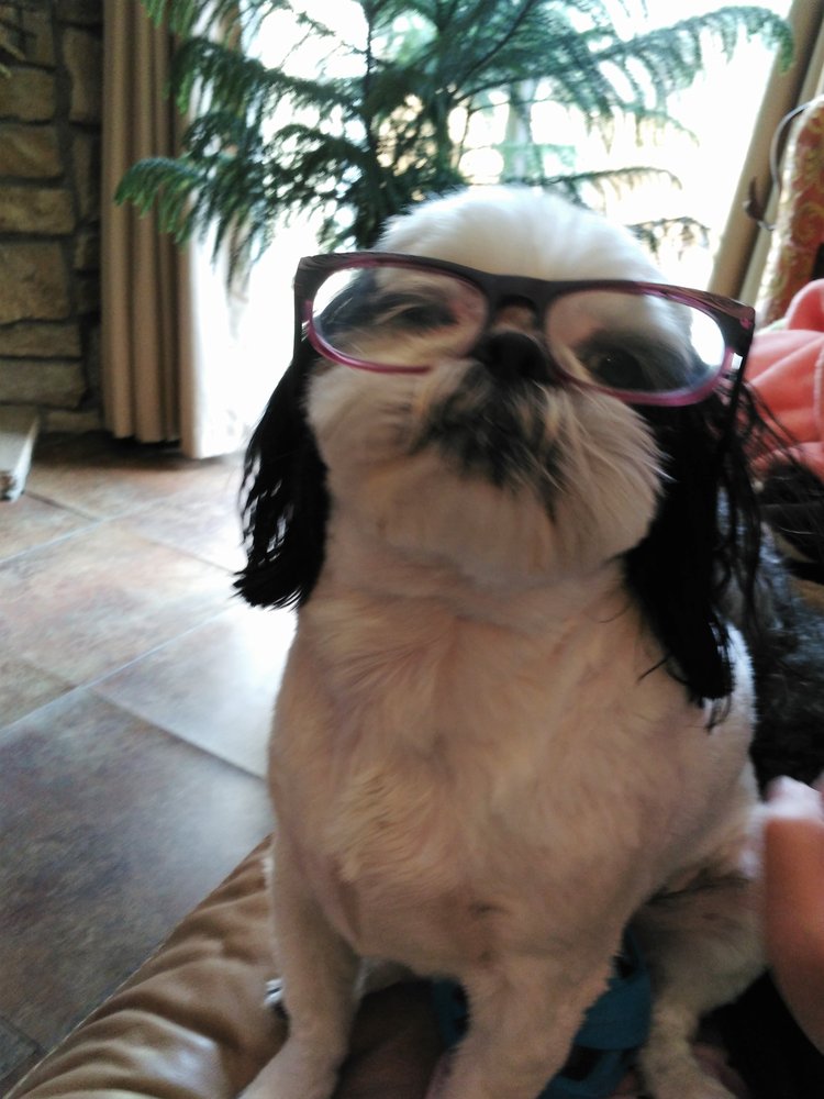 Pattie K.'s profile image