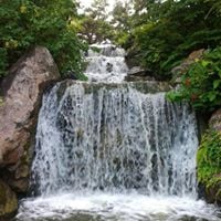 Janet J.'s profile image