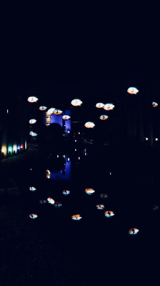 Lila R.'s profile image
