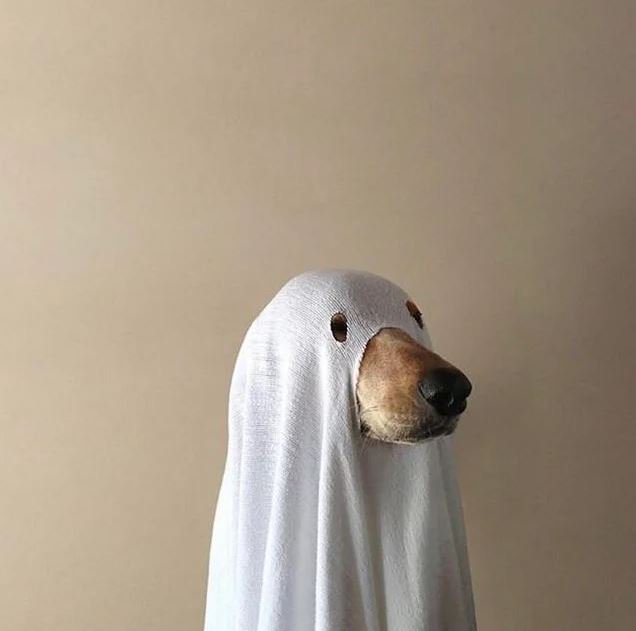 Nora K.'s profile image