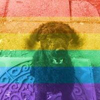 Brian J.'s profile image