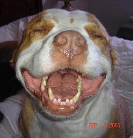 Dichele S.'s profile image