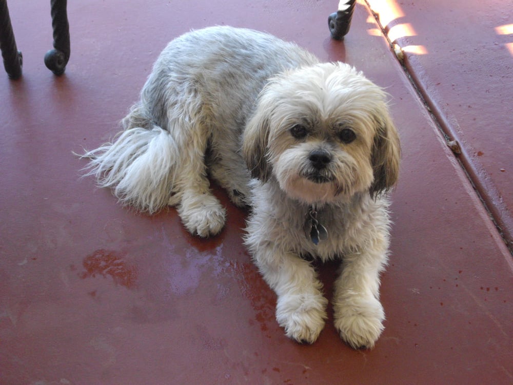 Betty W.'s profile image