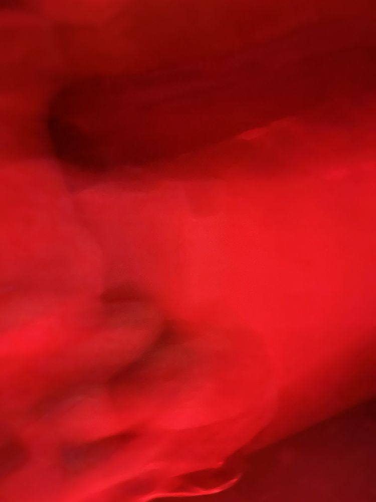 Don K.'s profile image