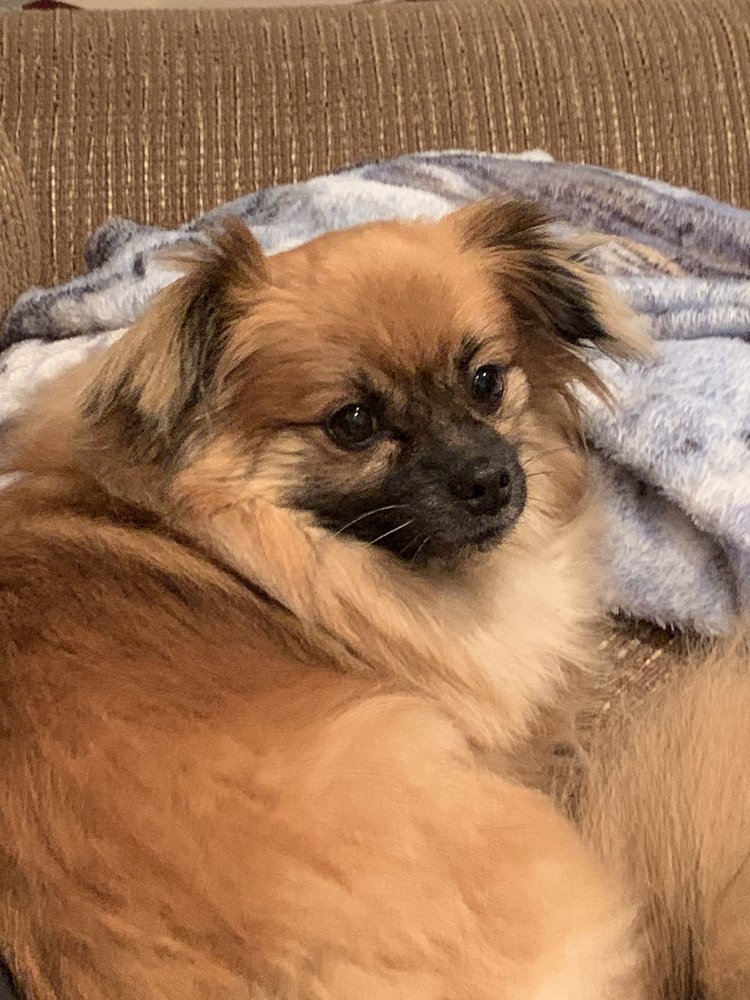 Carter B.'s profile image