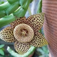 Nancy C.'s profile image
