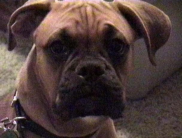 R B.'s profile image