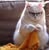 Nancy Ervin's profile image